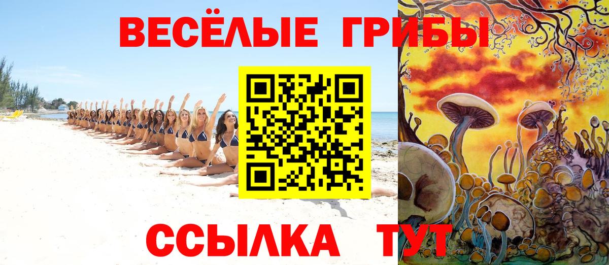Псилоцибиновые грибы MAGIC MUSHROOMS  Вход с VPN  Кострома 